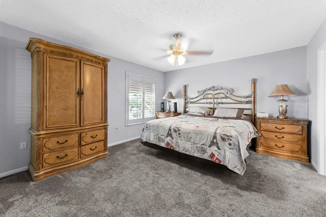 a view of a room with furniture and a potted plant
