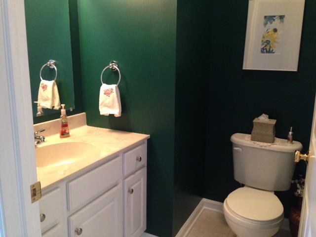 315 Saddlebrook Road Gibsonia, PA 15044 - Photo 10 of 21 Partial Bath. Powder Room on Main Level