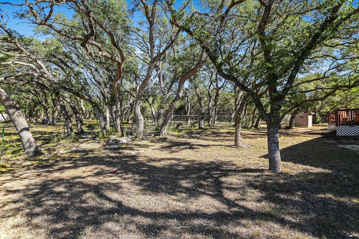 5300 Fischer Store Road Wimberley, TX 78676 - Photo 15 of 20 a view of road with large trees