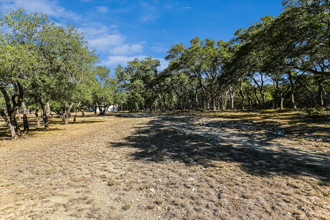 5300 Fischer Store Road Wimberley, TX 78676 - Photo 16 of 20 a view of road with trees