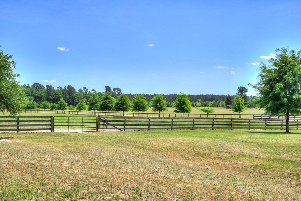 490 Big Tree Road Salley, SC 29137 - Photo 46 of 68