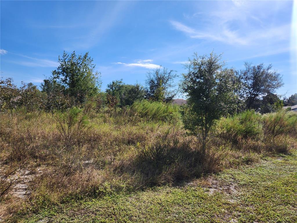 7252 Sky Court, Unit LOT #1 Spring Hill, FL 34606 - Photo 2 of 3