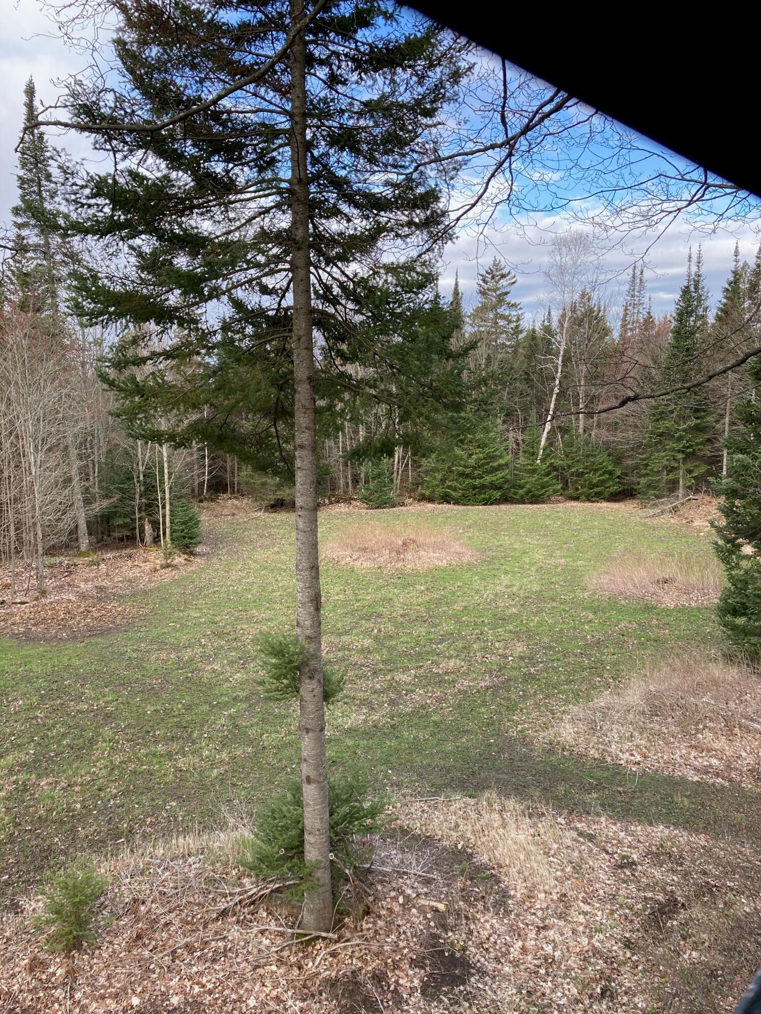 0 Camp 23 Road Germfask, MI 49836 - Photo 19 of 23 Gallery Image 19