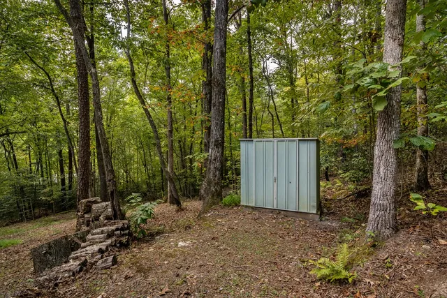 a backyard of a house with lots of plants and trees