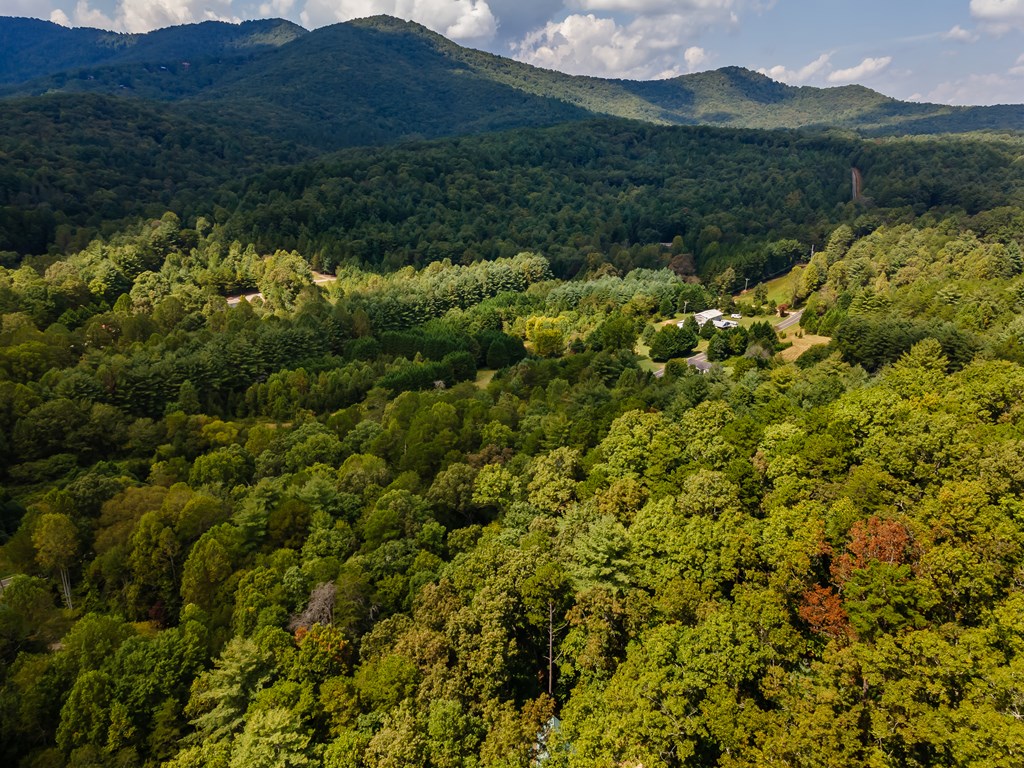151 Pinewood Drive Murphy, NC 28906 - Photo 35 of 43 a view of a lush green hillside and houses