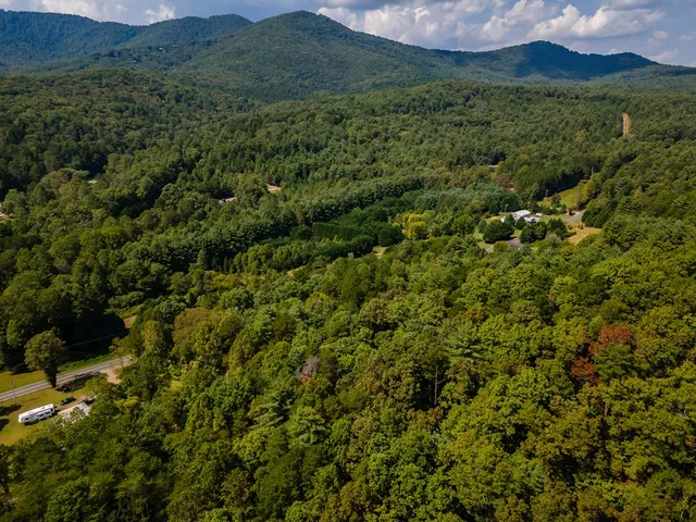 a view of a lush green forest with a house