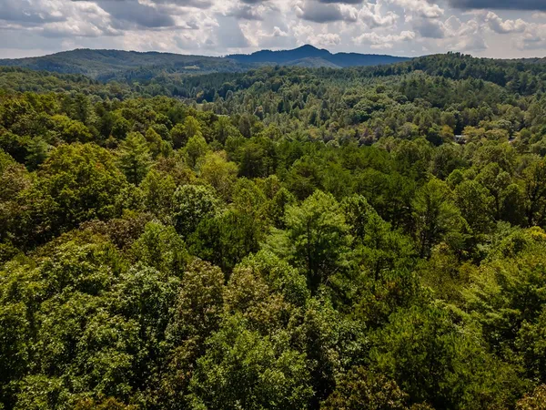 $319,900 | 151 Pinewood Drive, Murphy, NC 28906