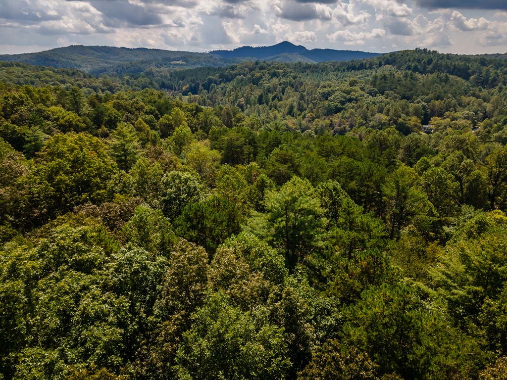 151 Pinewood Drive Murphy, NC 28906 - Photo 38 of 43 a view of a city with lush green forest