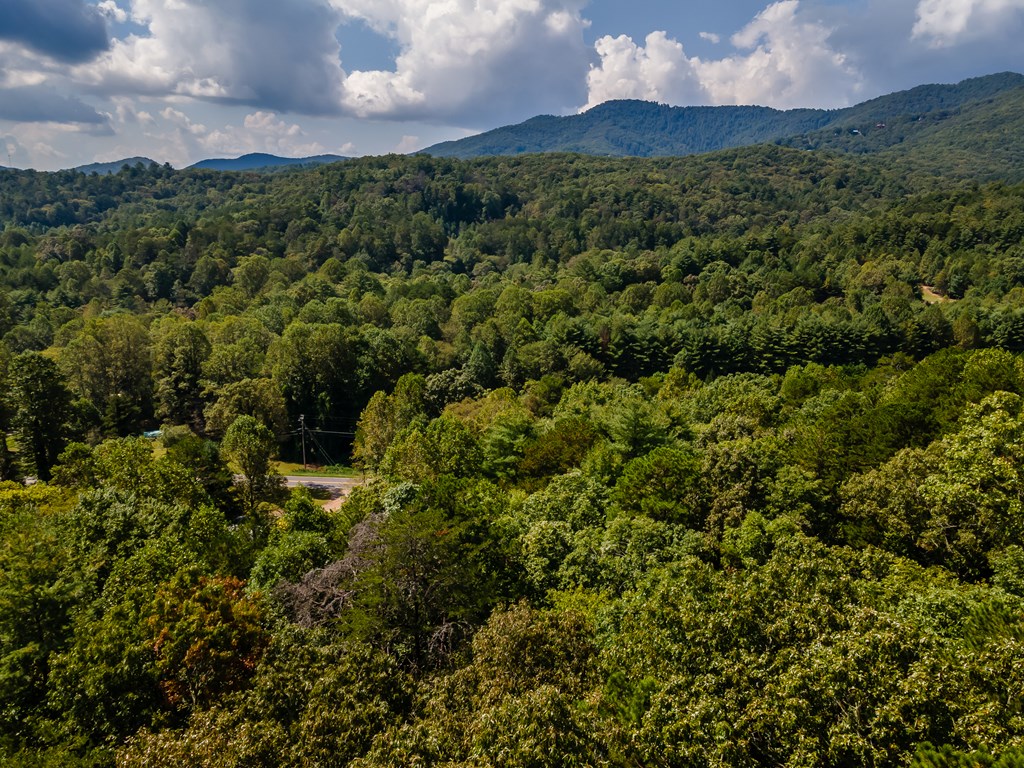 151 Pinewood Drive Murphy, NC 28906 - Photo 39 of 43 a view of a city and mountains