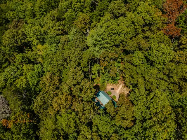 a view of a tree in a field