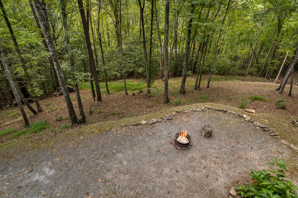 151 Pinewood Drive Murphy, NC 28906 - Photo 43 of 43 a view of outdoor space with trees