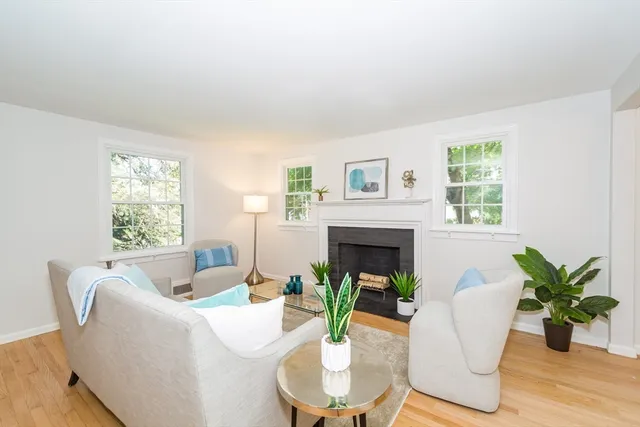 a living room with furniture a potted plant and a fireplace