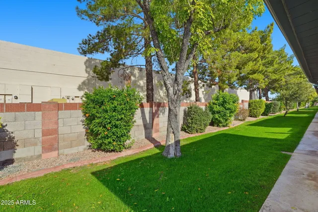 a view of yard with green space
