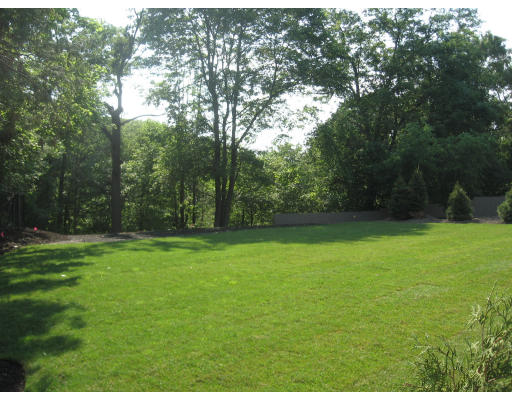 40 Rochester Road Newton, MA 02458 - Photo 16 of 21 a view of a field of grass and trees