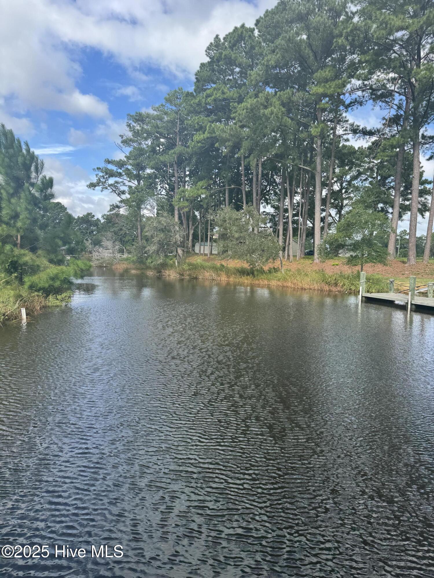 563 Creek Place Road Arapahoe, NC 28510 - Photo 6 of 7 Muddy Gut