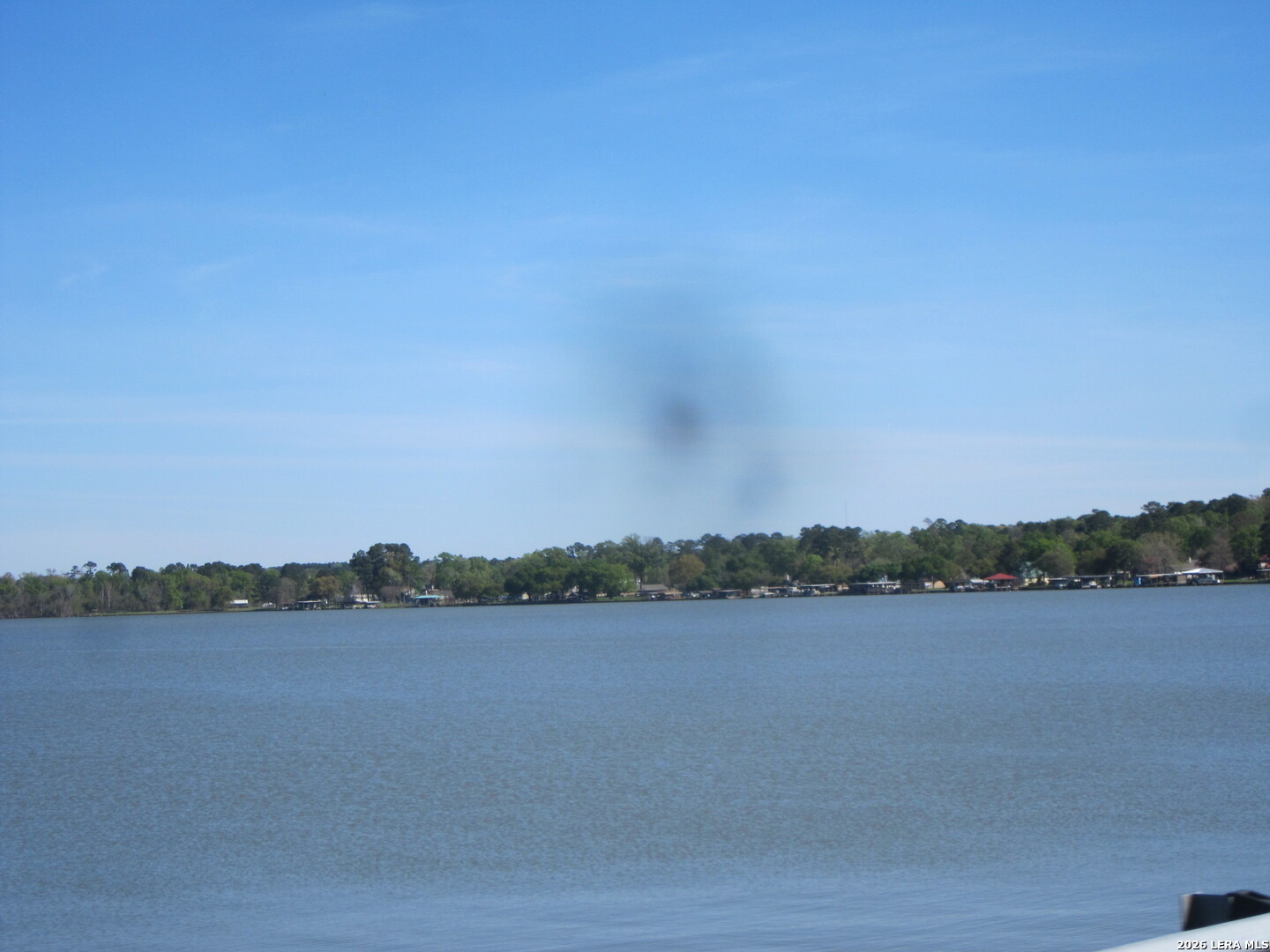 218 Strawberry Street Onalaska, TX 77360 - Photo 53 of 60