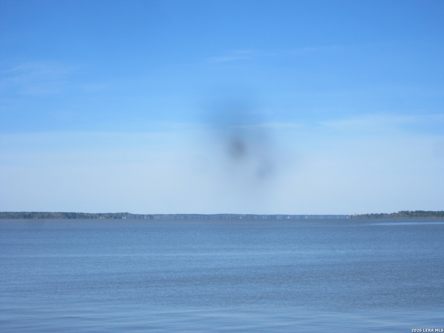 218 Strawberry Street Onalaska, TX 77360 - Photo 58 of 60