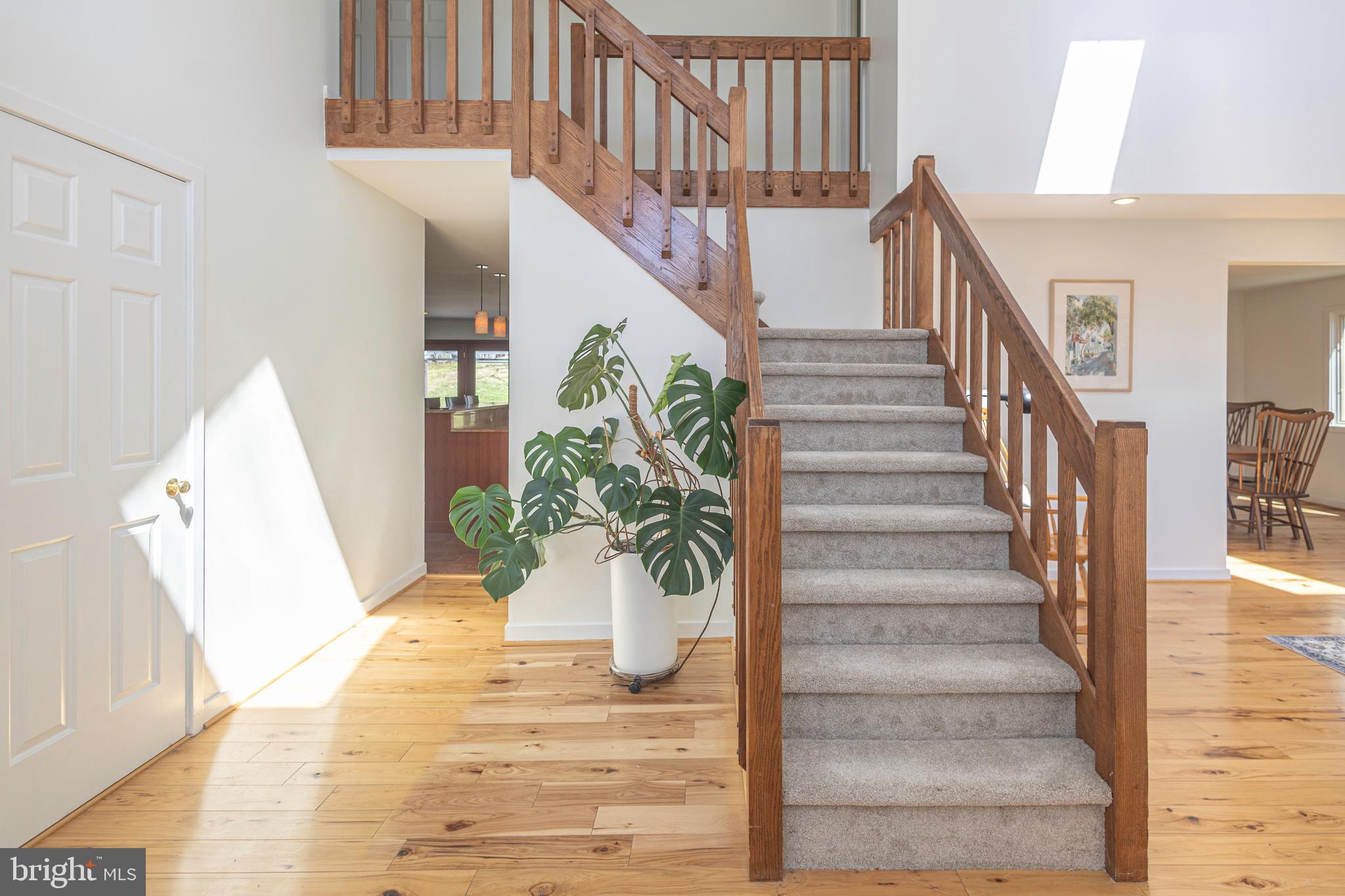 101 Rogers Road Furlong, PA 18925 - Photo 4 of 57 Entryway Hallway