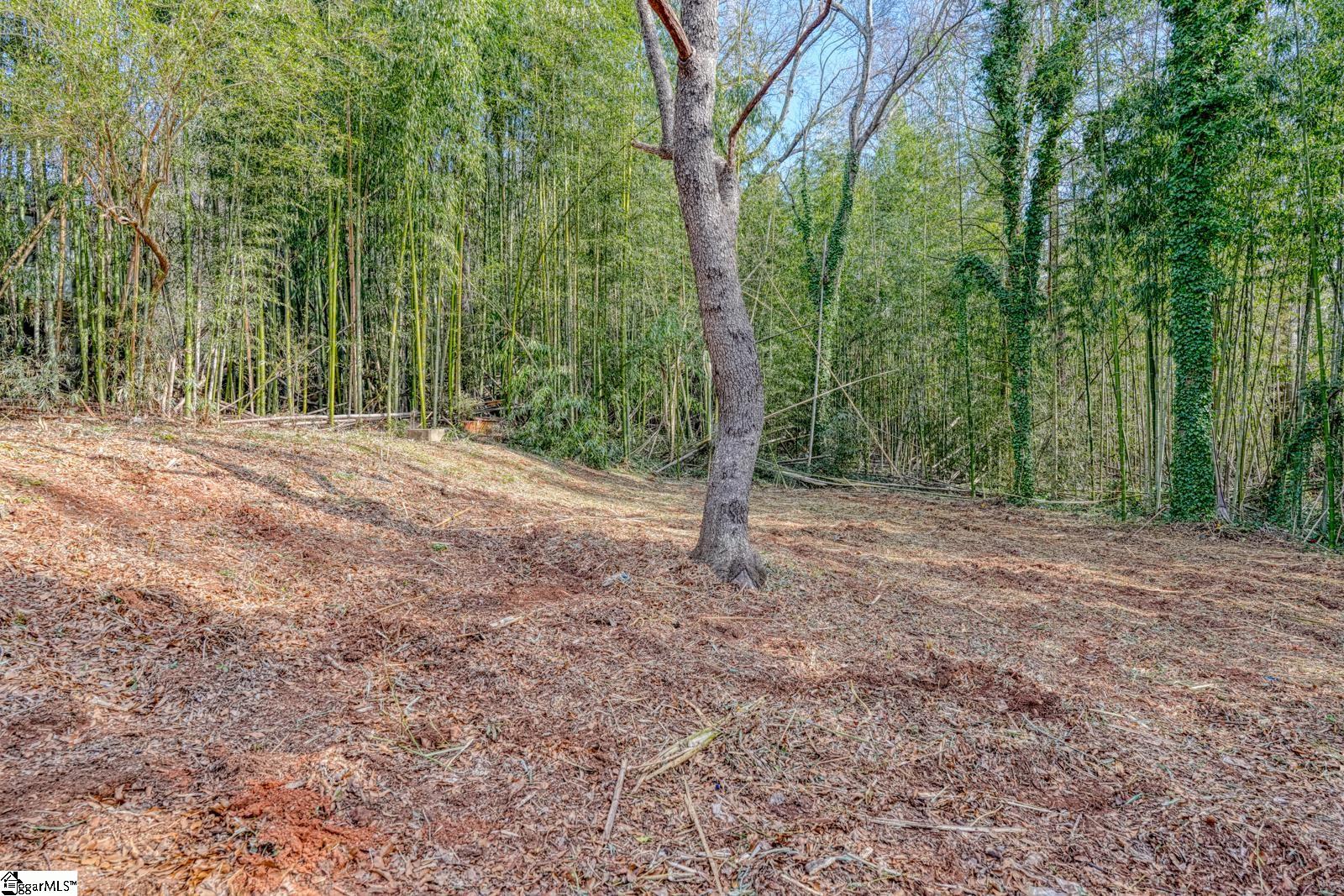 115 May Street Easley, SC 29640 - Photo 29 of 30