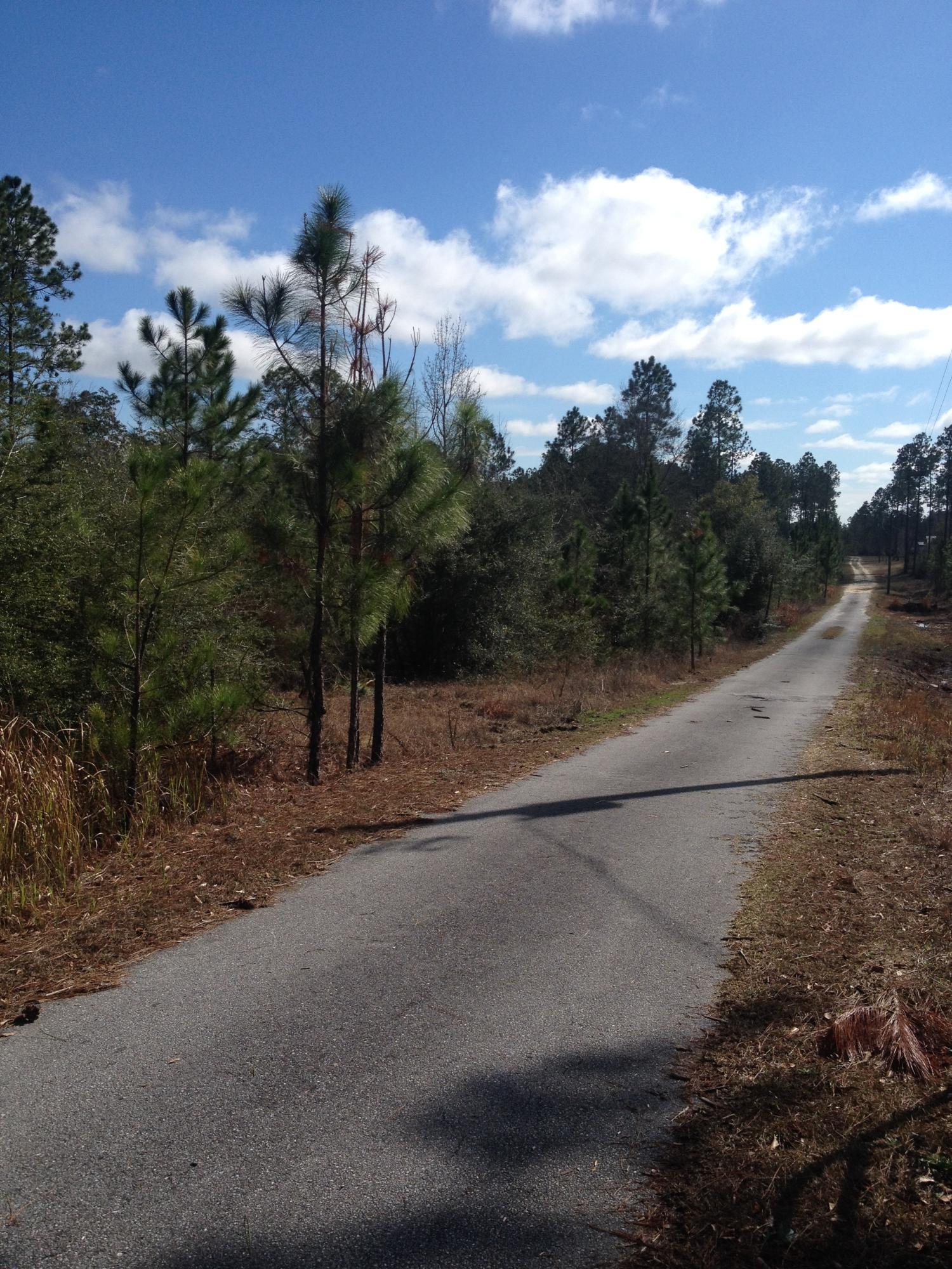 5.2-acres Rock Hill Road DeFuniak Springs, FL 32435 - Photo 3 of 5 IMG_0804