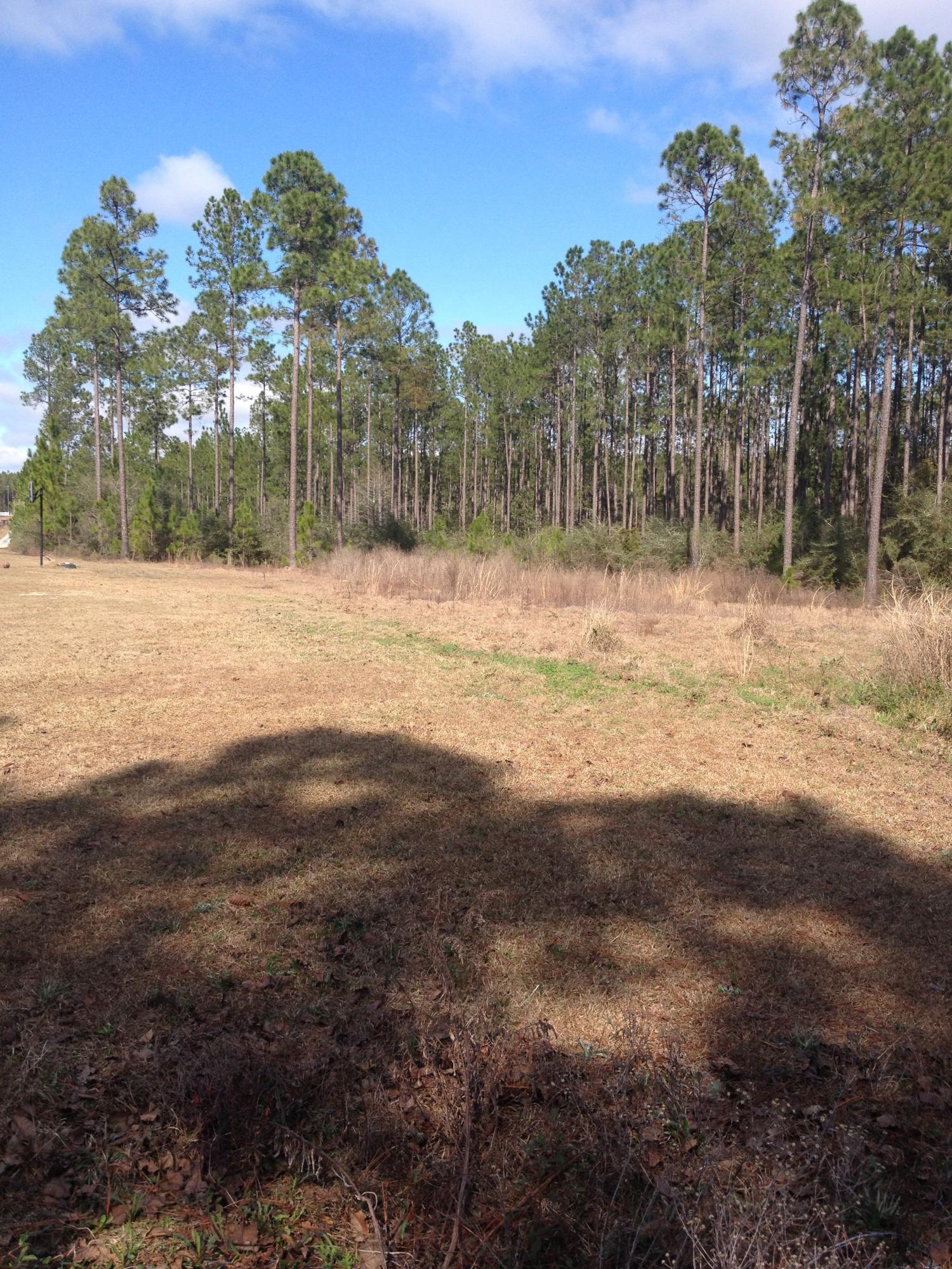 5.2-acres Rock Hill Road DeFuniak Springs, FL 32435 - Photo 5 of 5 IMG_0802