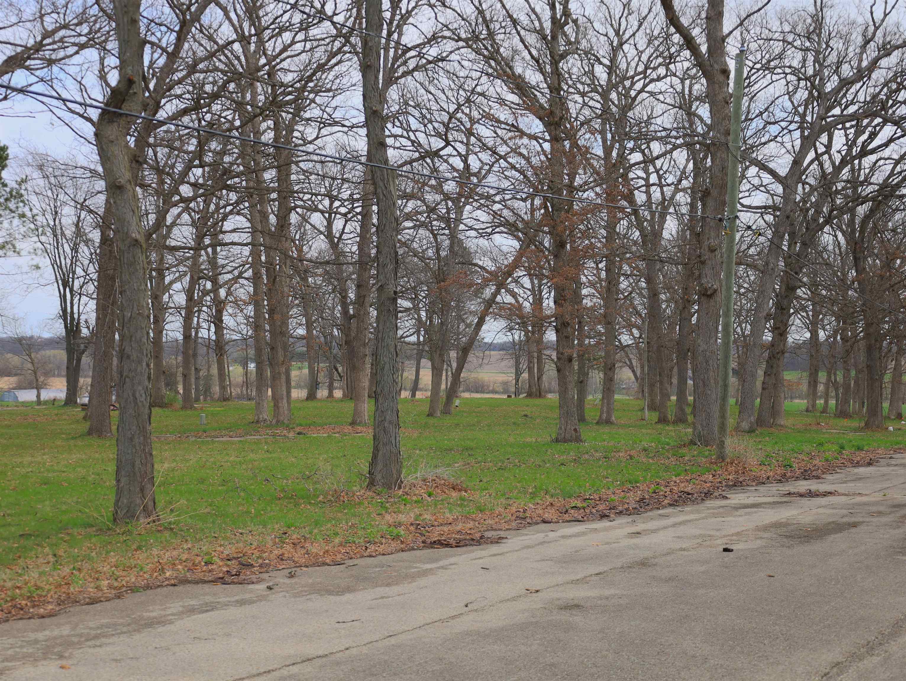 4500 East River Road Ridott, IL 61067 - Photo 43 of 54 a view of a park with tree s