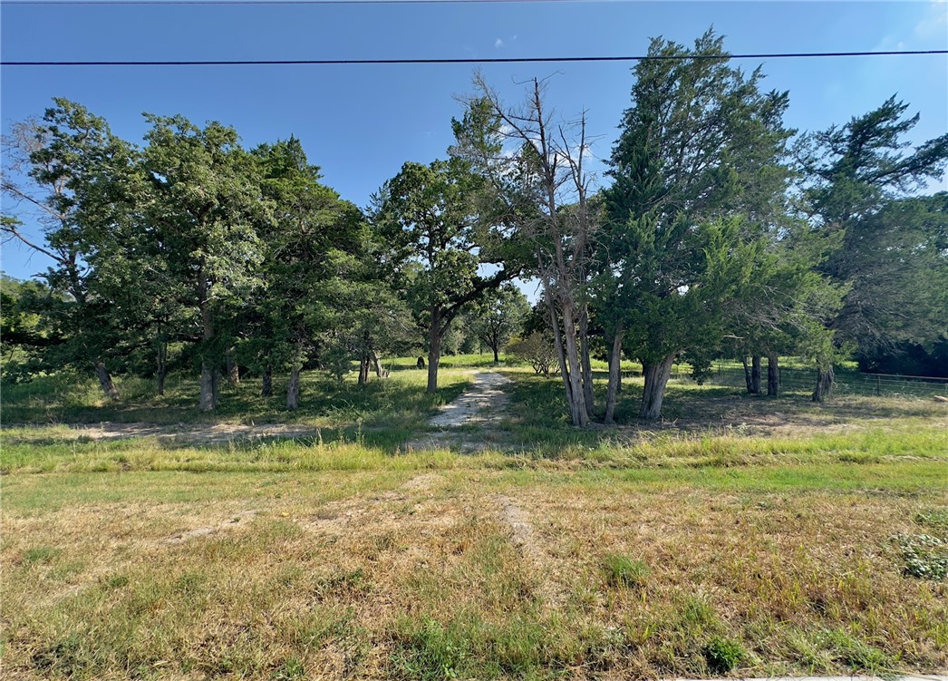 3906 Rock Prairie Road College Station, TX 77845 - Photo 3 of 10 a view of a yard