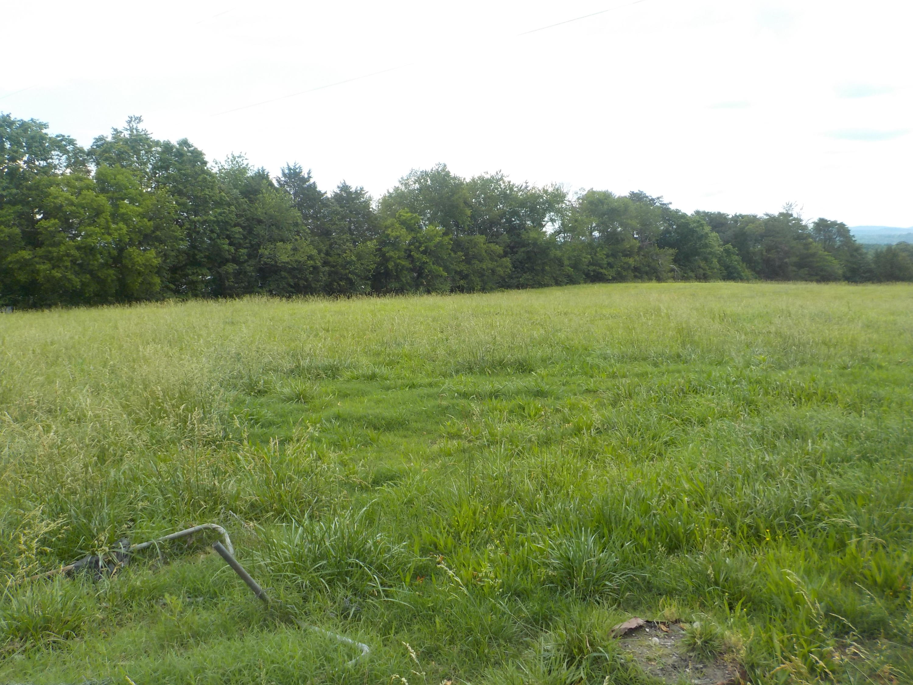 177 Foster Road Blaine, TN 37709 - Photo 12 of 23 011