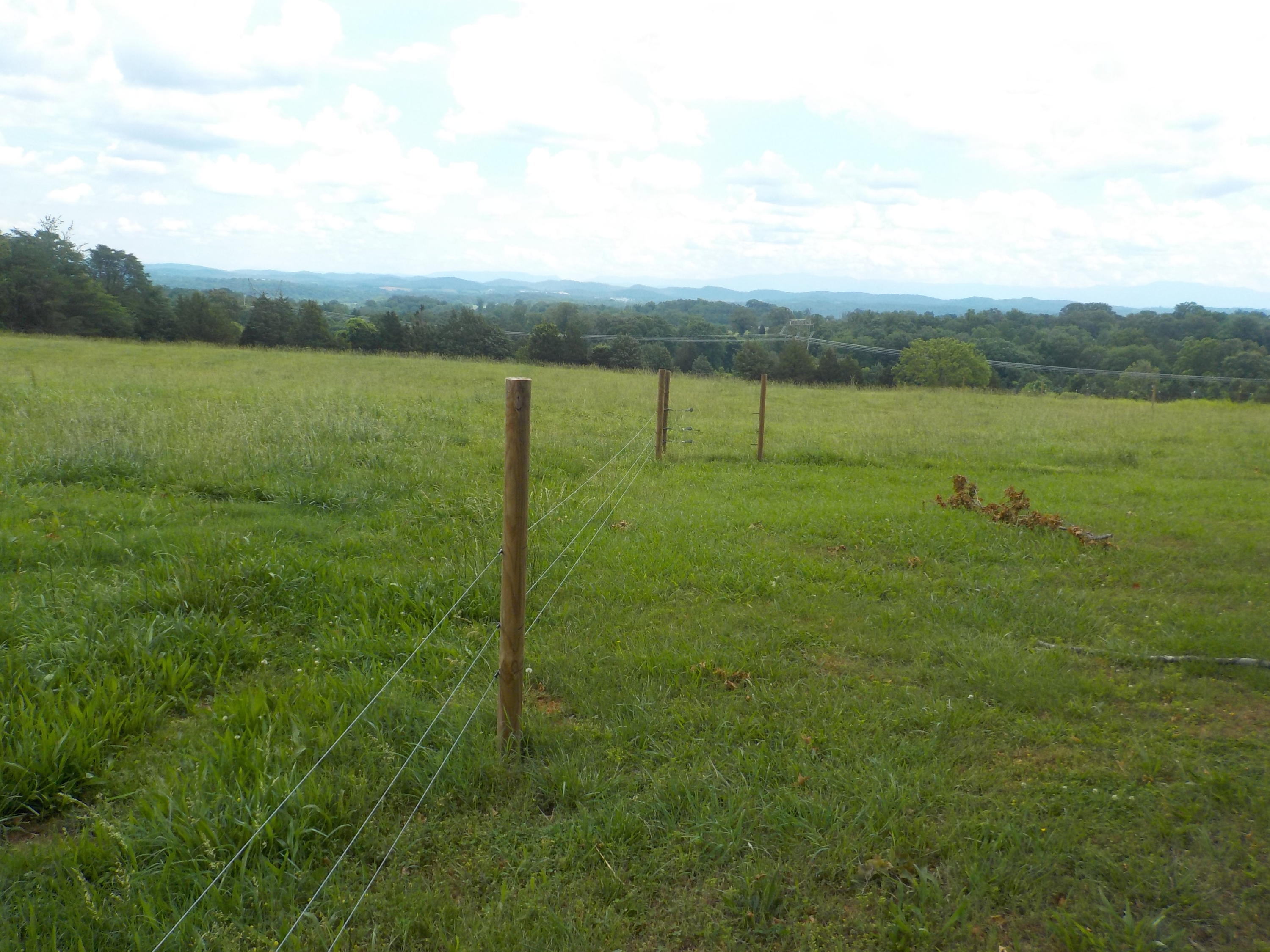 177 Foster Road Blaine, TN 37709 - Photo 13 of 23 012