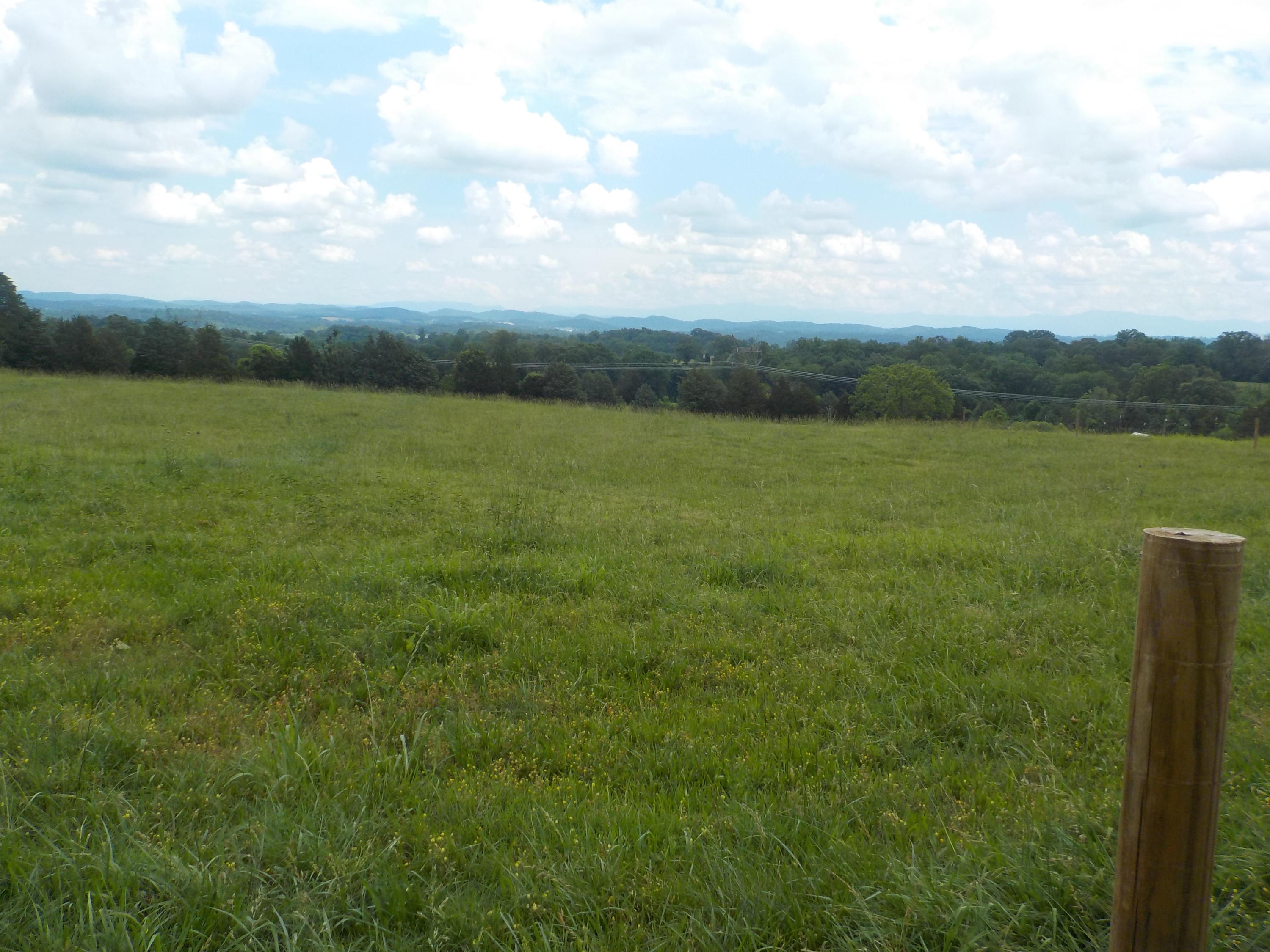 177 Foster Road Blaine, TN 37709 - Photo 14 of 23 014