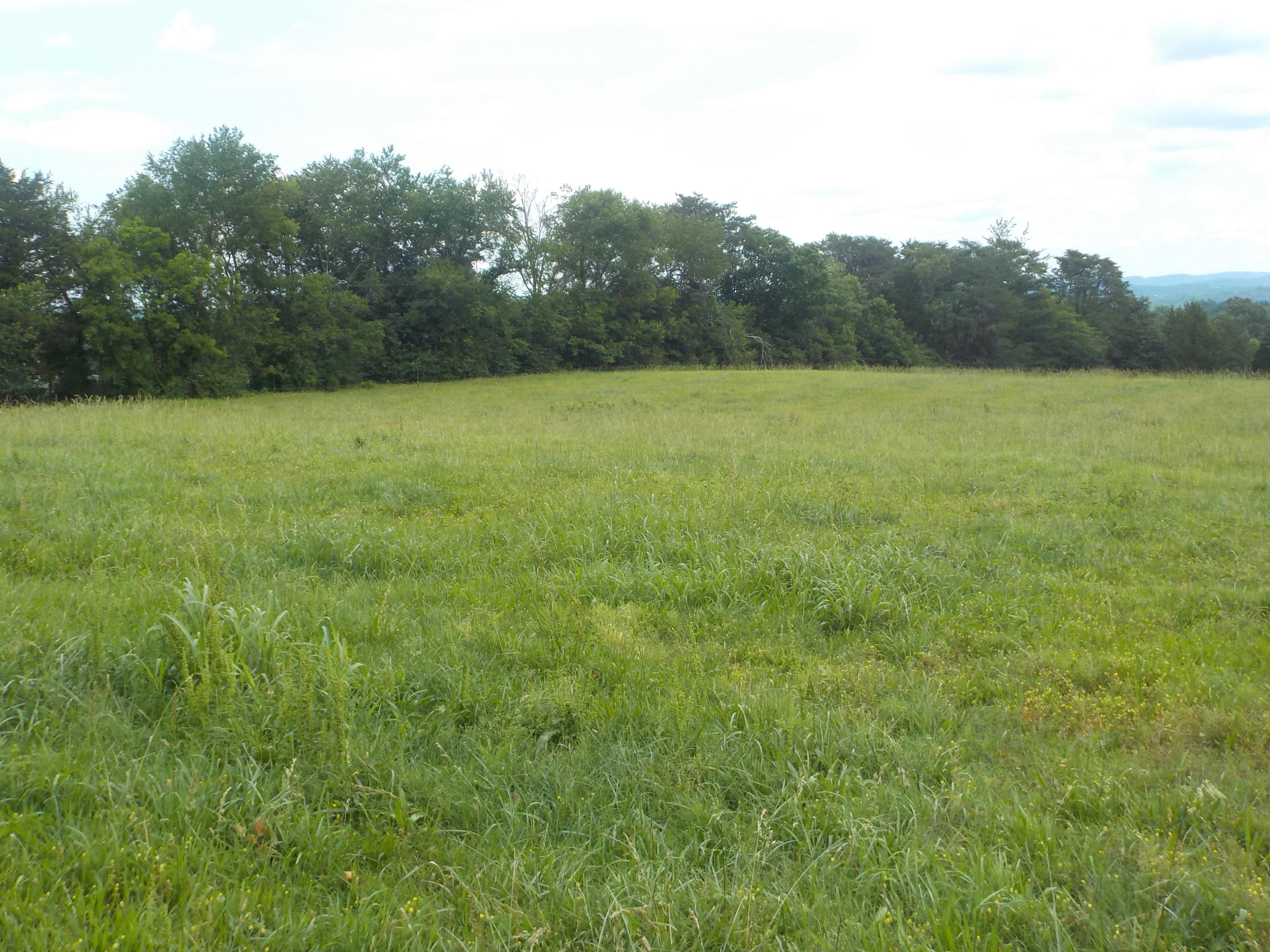 177 Foster Road Blaine, TN 37709 - Photo 15 of 23 015