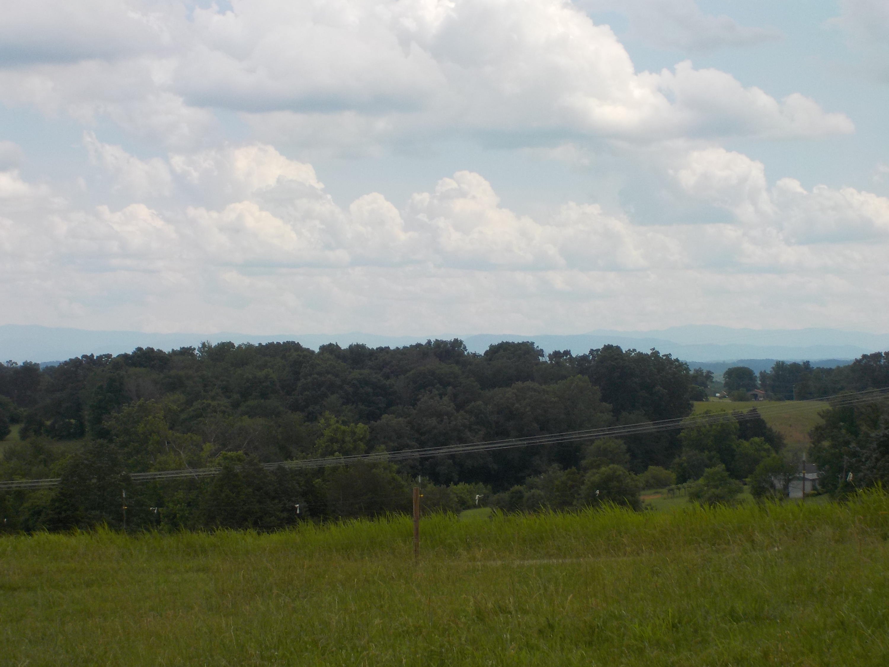 177 Foster Road Blaine, TN 37709 - Photo 16 of 23 016