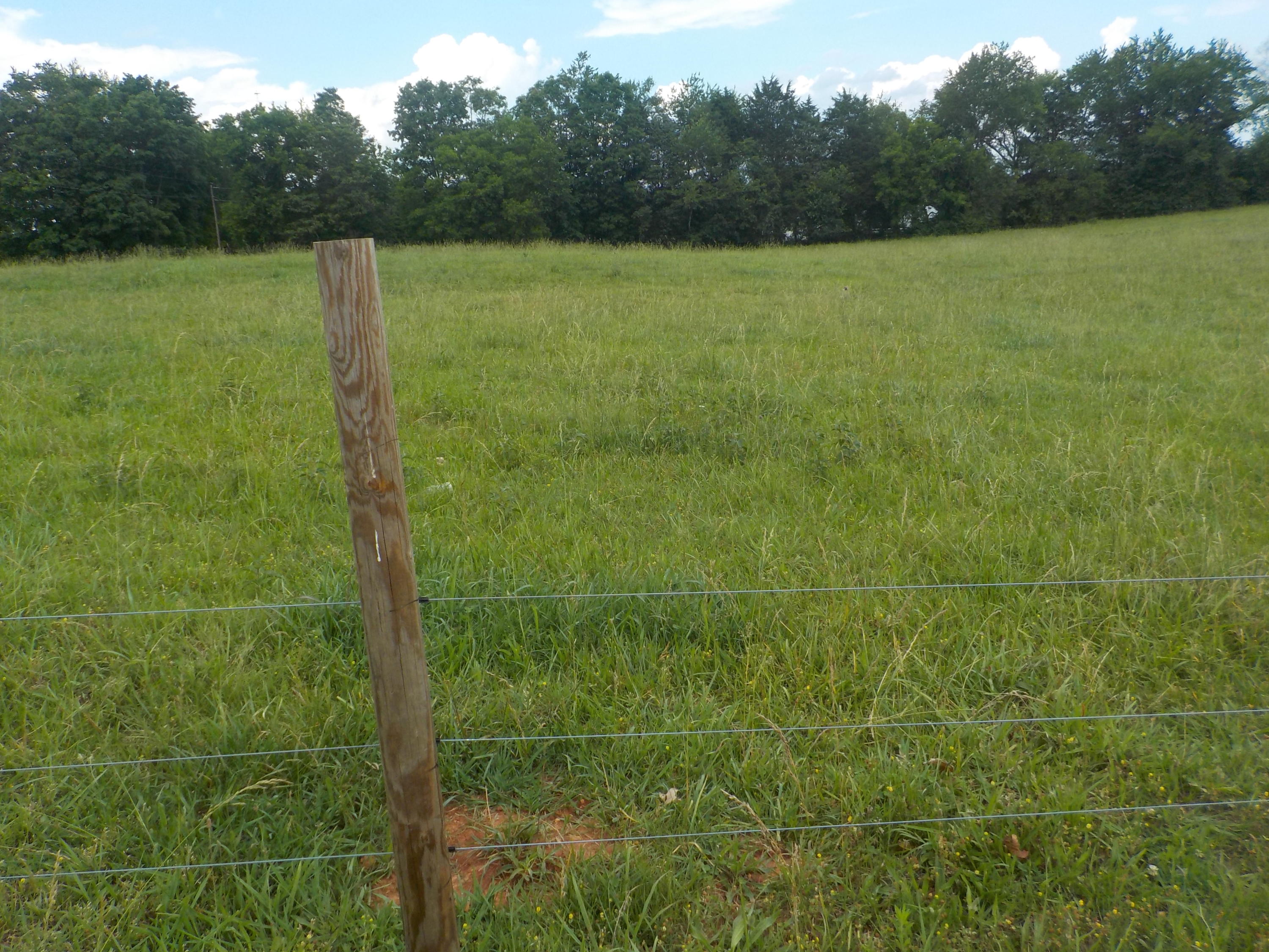 177 Foster Road Blaine, TN 37709 - Photo 18 of 23 018