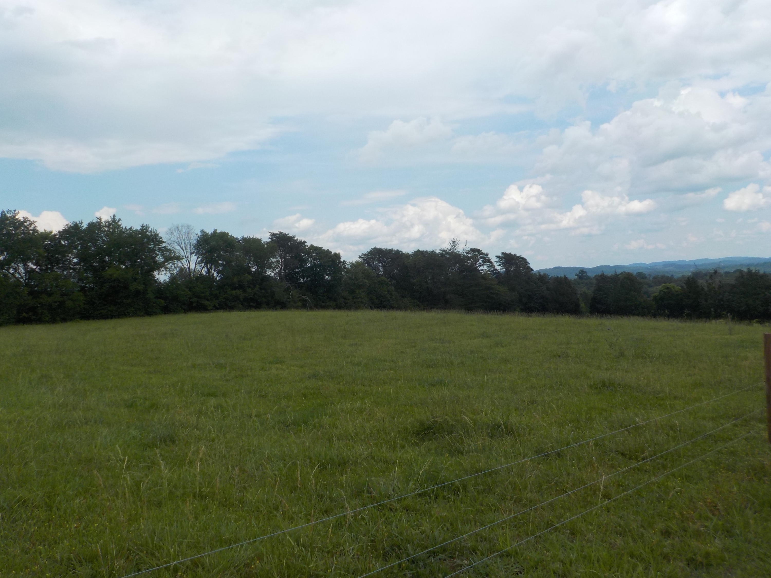 177 Foster Road Blaine, TN 37709 - Photo 19 of 23 019