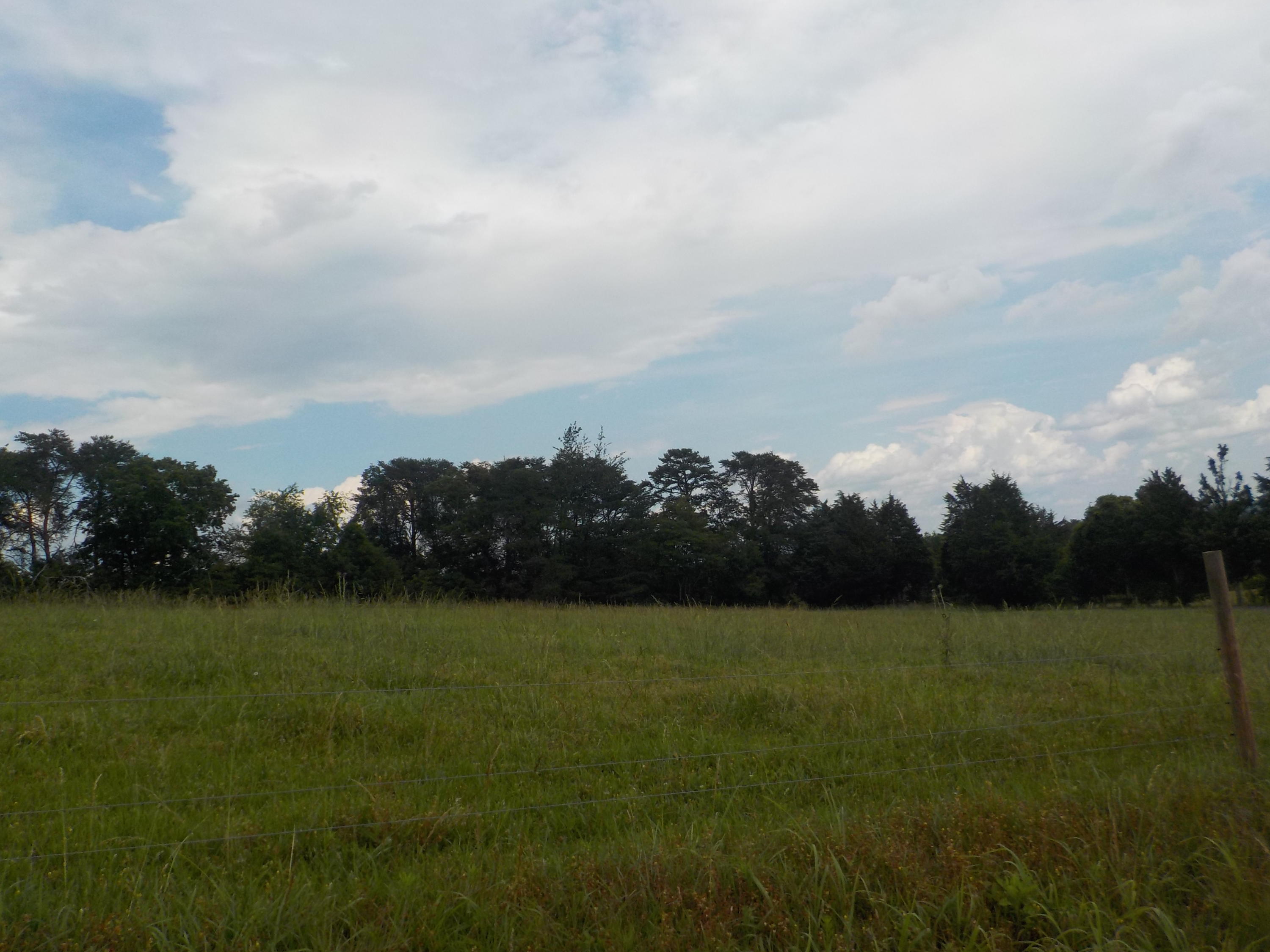 177 Foster Road Blaine, TN 37709 - Photo 20 of 23 020