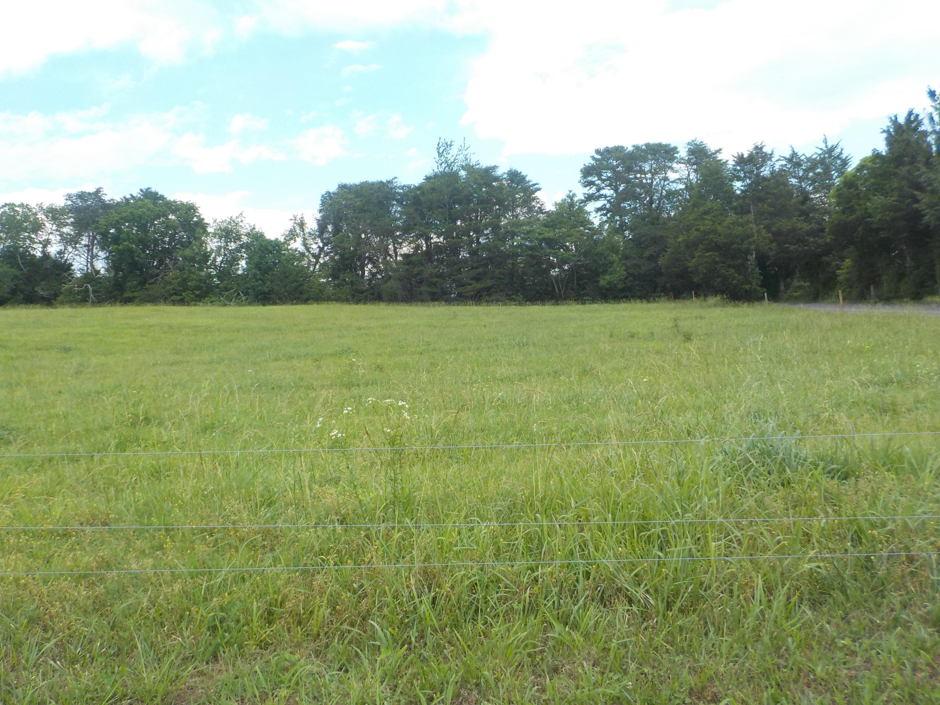 177 Foster Road Blaine, TN 37709 - Photo 21 of 23 021
