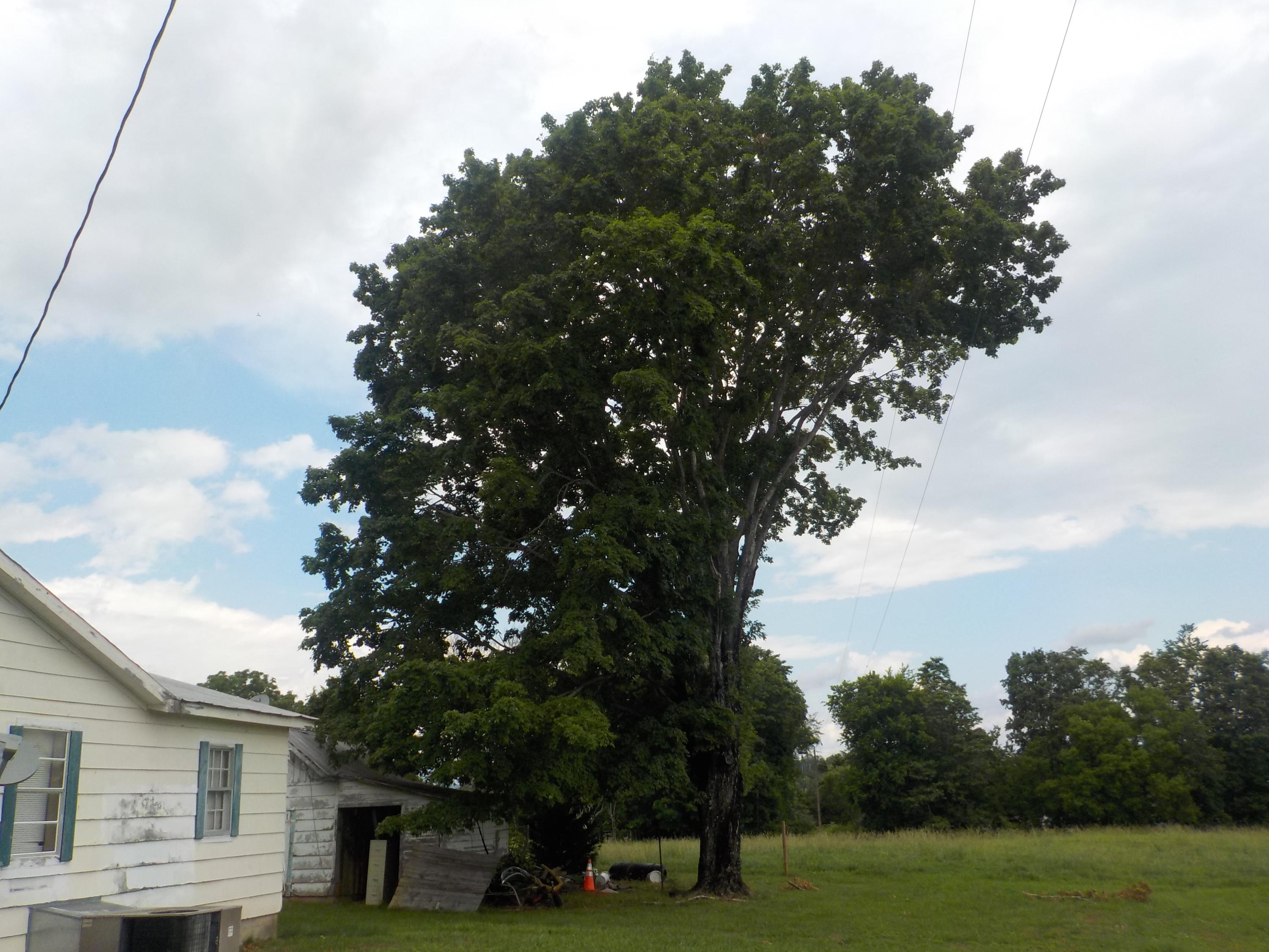 177 Foster Road Blaine, TN 37709 - Photo 4 of 23 006