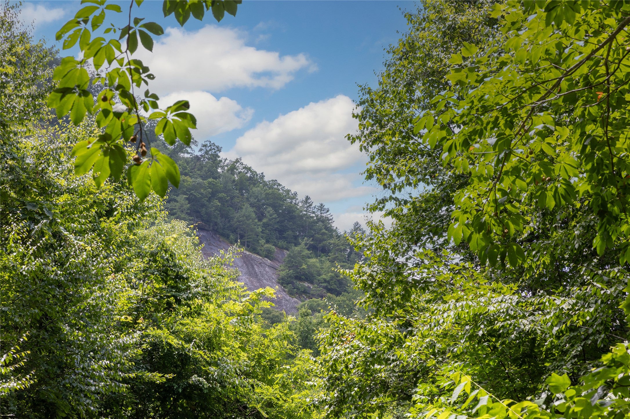 2652 Pilot Knob Road Tuckasegee, NC 28783 - Photo 10 of 33 Gallery Image 10