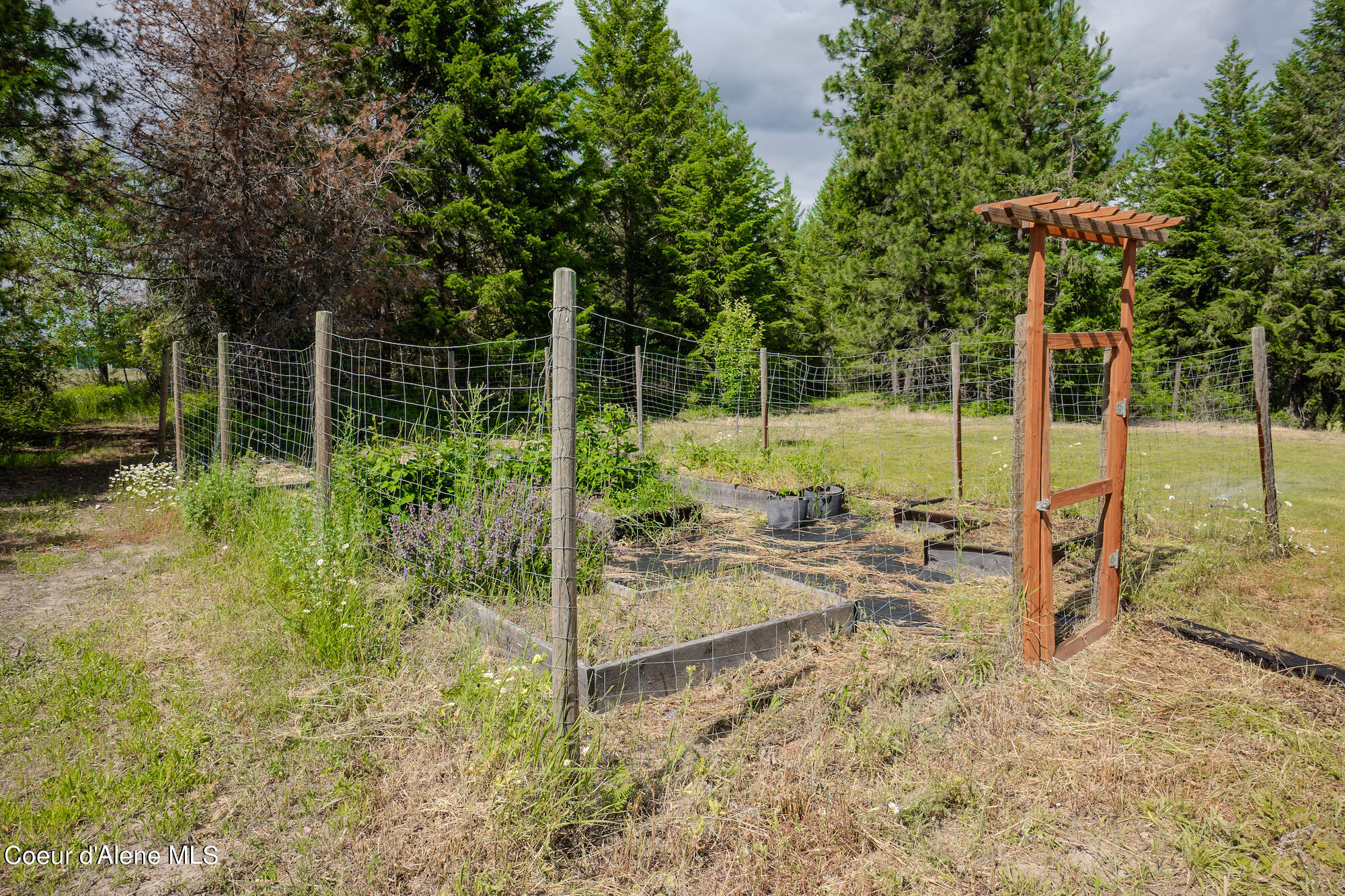 1588 Sunrise Road Bonners Ferry, ID 83805 - Photo 22 of 23 Garden Area