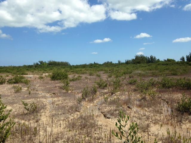 45 Bad George Road Sugarloaf, FL 33042 - Photo 1 of 6 photo 5