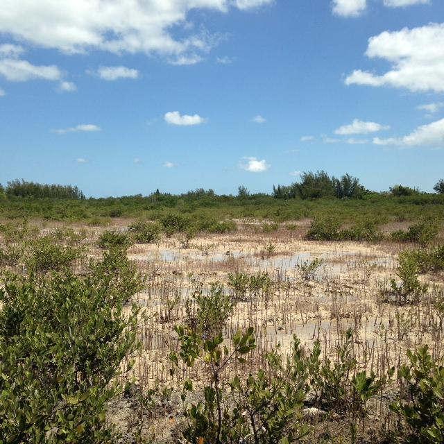 45 Bad George Road Sugarloaf, FL 33042 - Photo 4 of 6 photo 1
