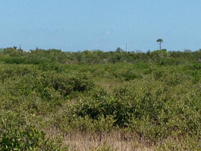 45 Bad George Road Sugarloaf, FL 33042 - Photo 5 of 6 photo 3