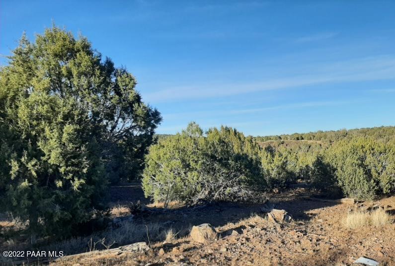 6142 North Ten Tanks Road Ash Fork, AZ 86320 - Photo 2 of 3 20220110_163040