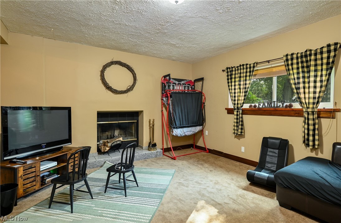 9196 Briar Road Magnolia, OH 44643 - Photo 18 of 30 Lower Level Living Area