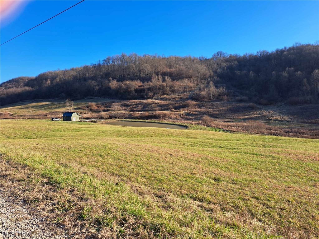 13955 T-Ridge Road Caldwell, OH 43724 - Photo 4 of 45 View from the Road.