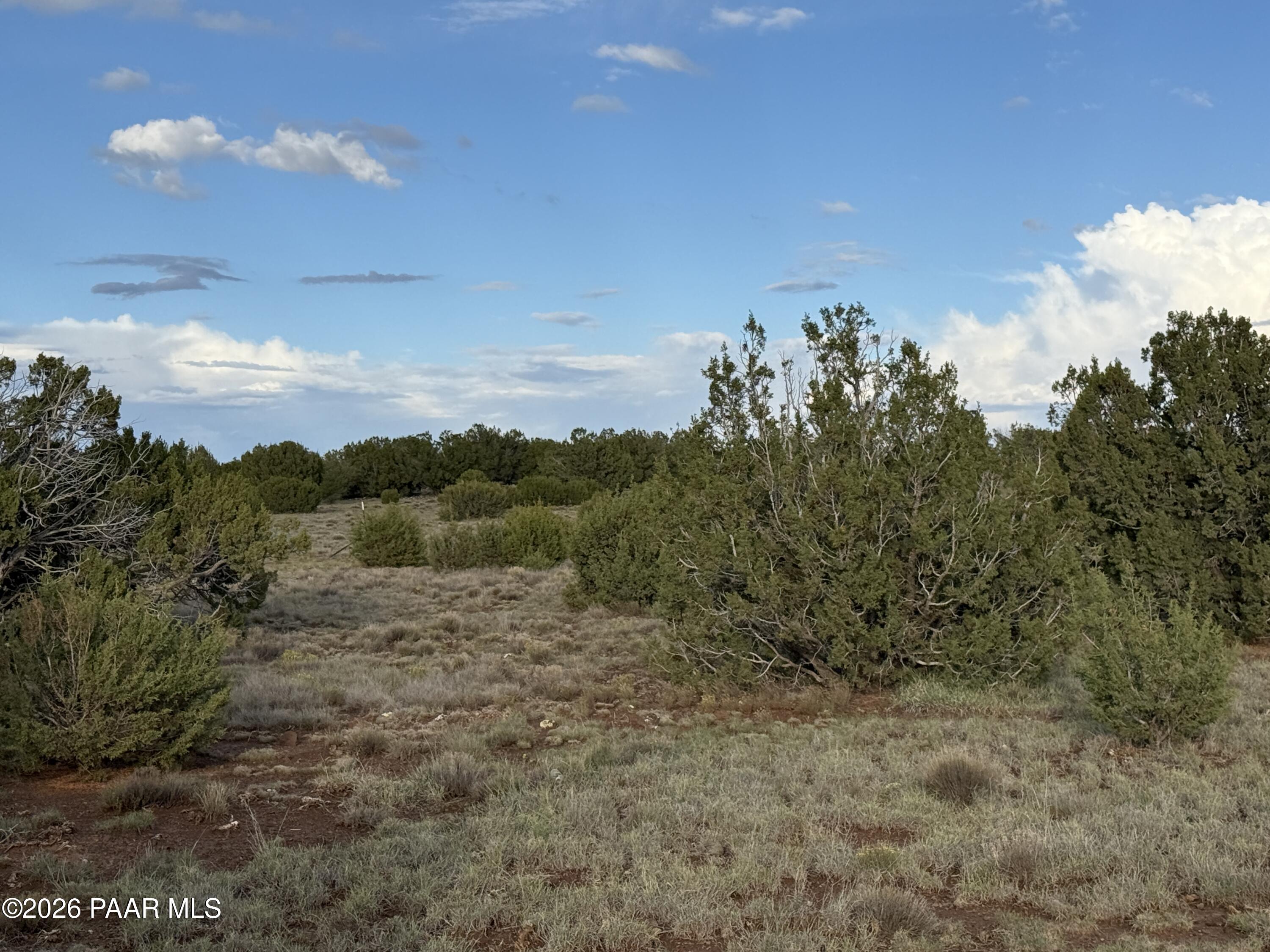 44 County Road 8097 Show Low, AZ 85901 - Photo 11 of 16 a view of a city