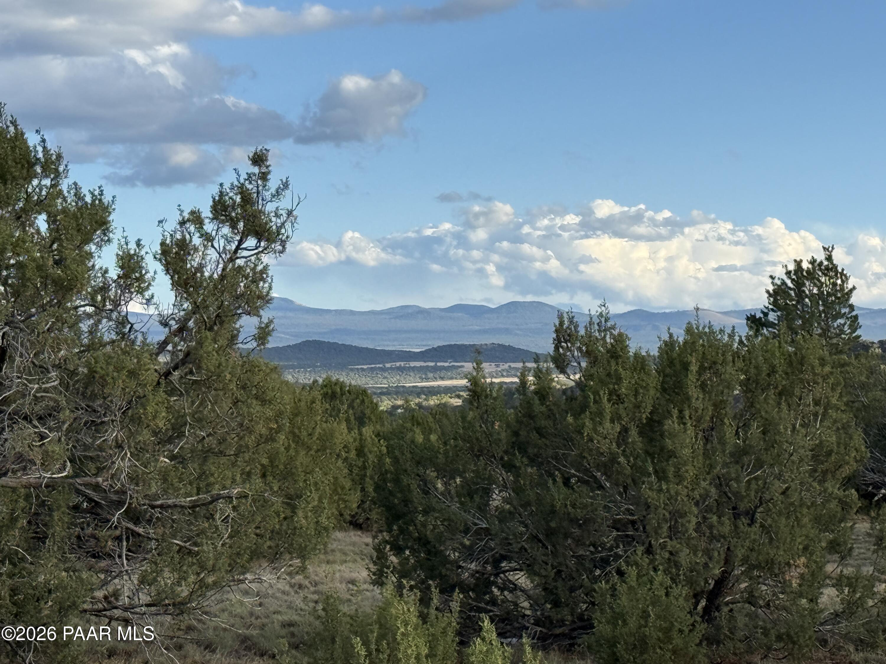 44 County Road 8097 Show Low, AZ 85901 - Photo 12 of 16 a view of a city