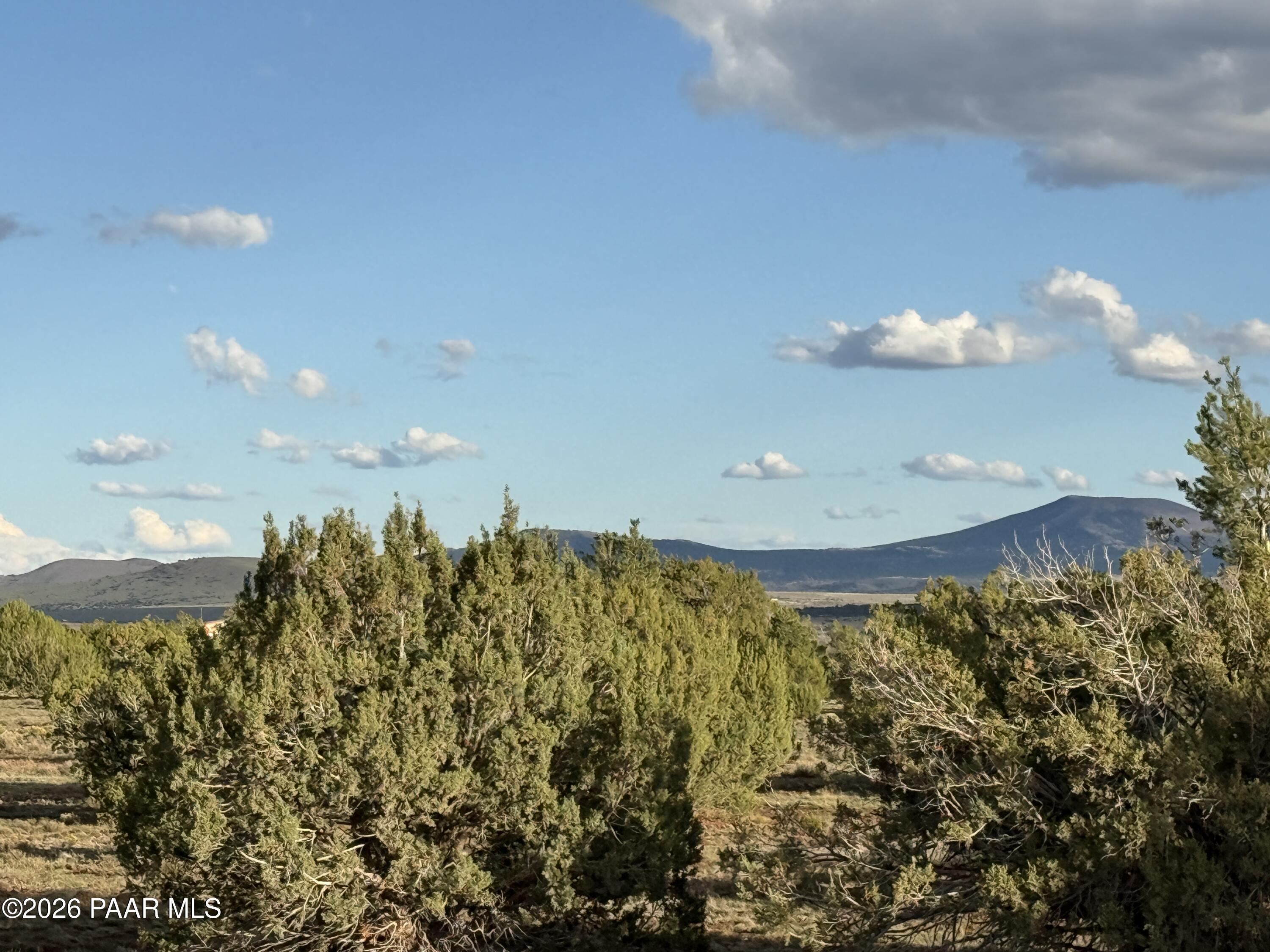 44 County Road 8097 Show Low, AZ 85901 - Photo 14 of 16 a view of a indoor garage