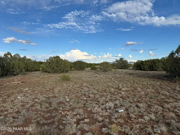 a view of a large yard with lots of green space and mountain view