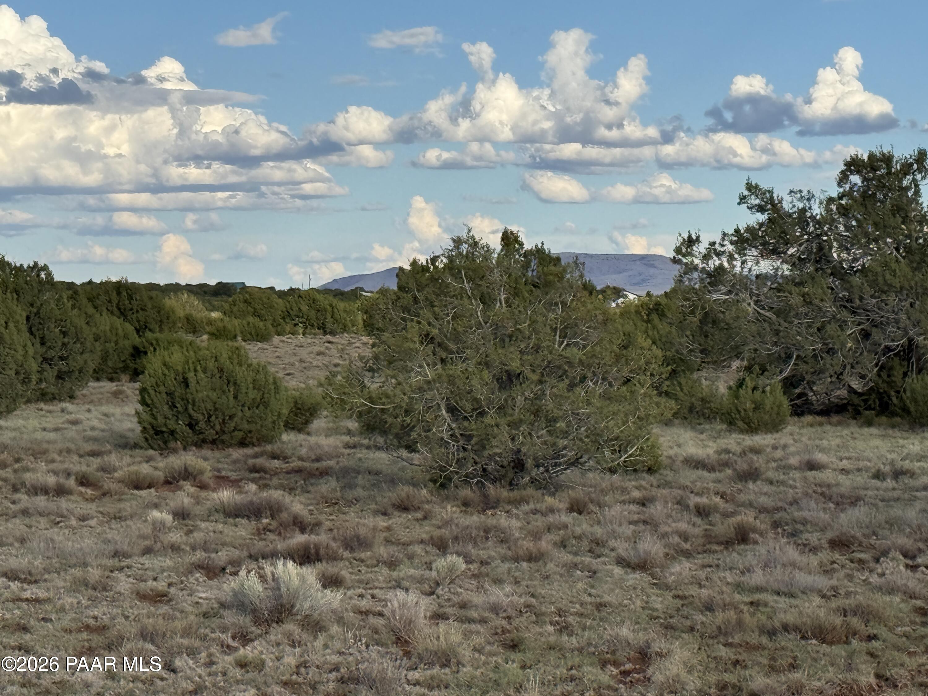 44 County Road 8097 Show Low, AZ 85901 - Photo 5 of 16 a view of a bunch of trees in middle of the green field